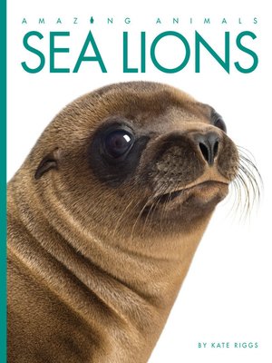 cover image of Sea Lions